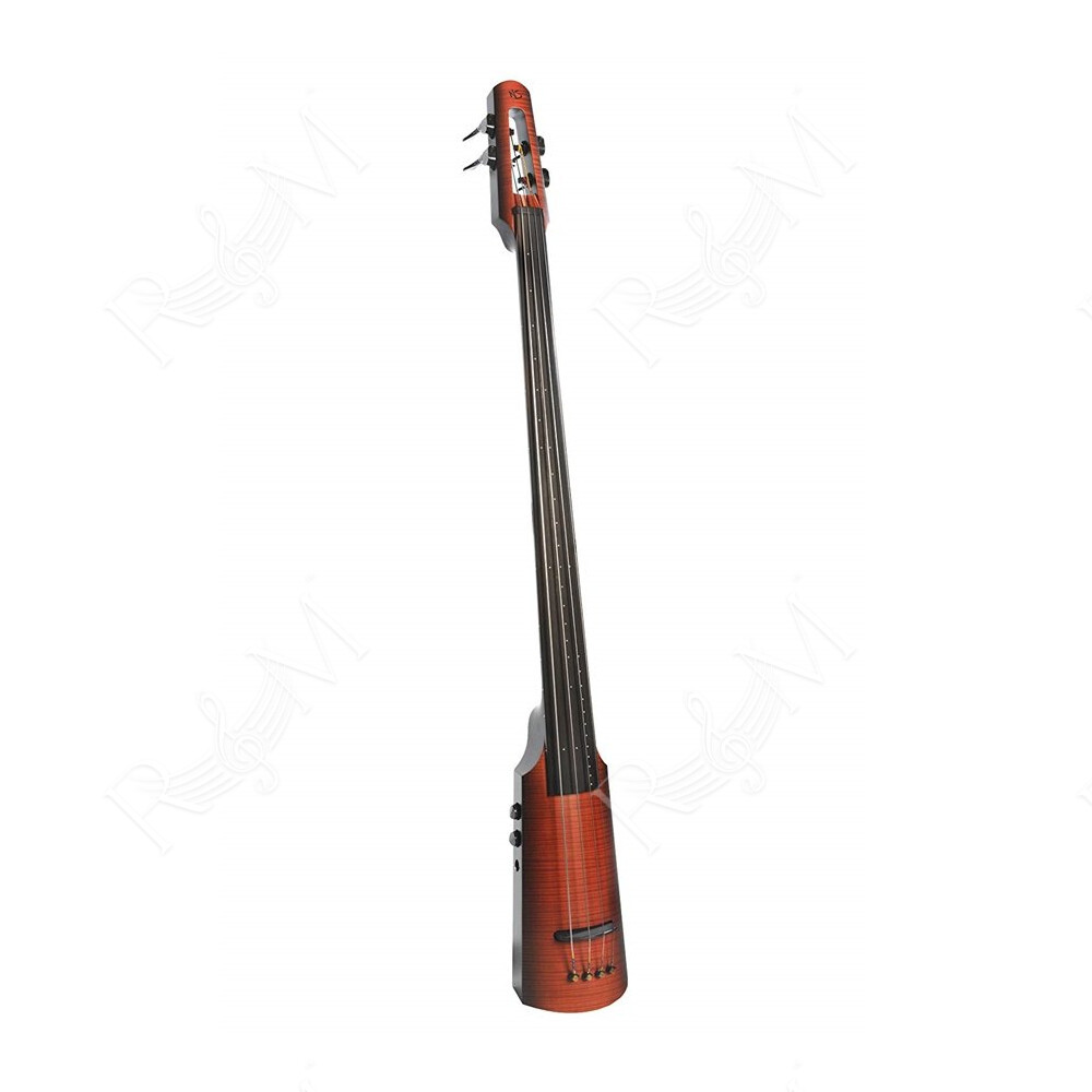 NXT4a Omni Bass 4 Sunburst