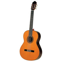 11 (Top Abete) Chitarra Classica