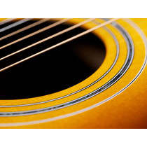 D-55E ATB Antique Burst Nitro