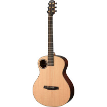 WAB1EH Chitarra Acustica Baritone