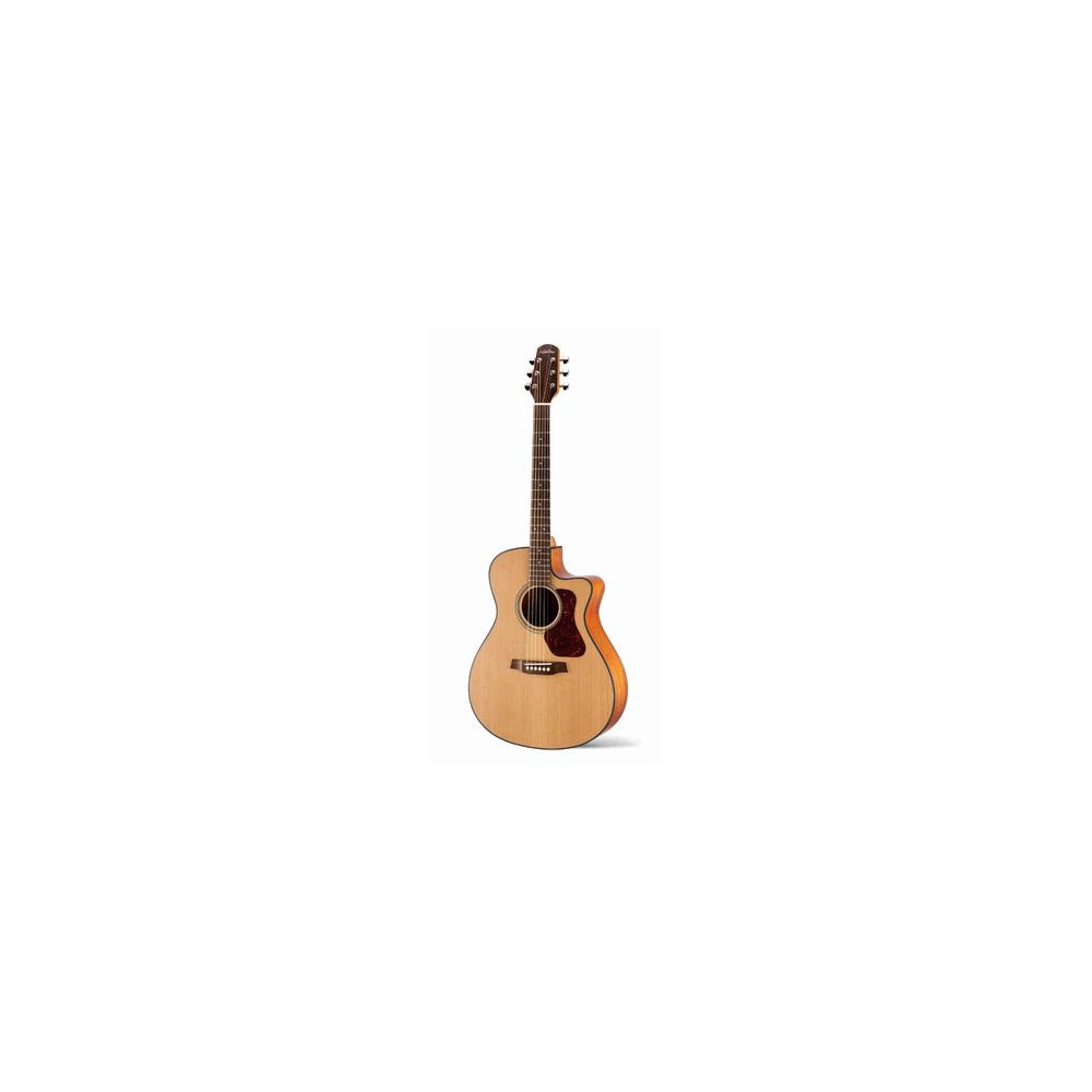 WAG570CE Chitarra Acustica Natura 500