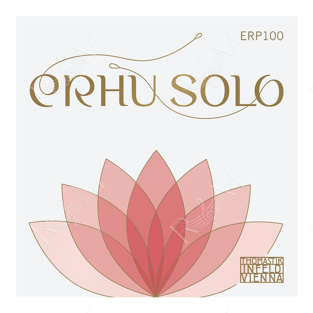 Erhu Solo ERP100 set erhu