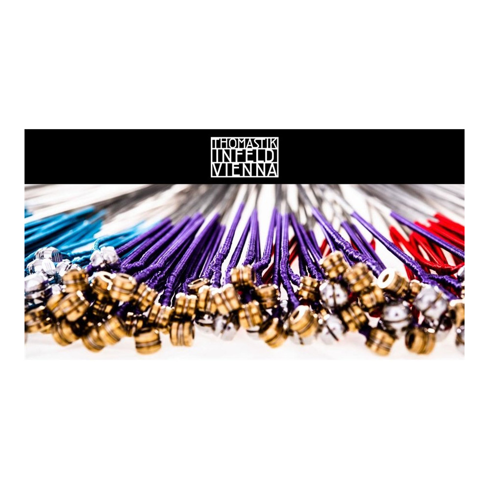 Special Strings 185 set liuto