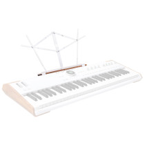 AstroLab Music Stand