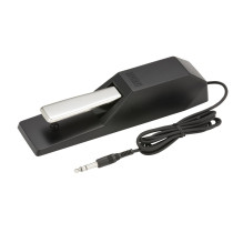DS-1H