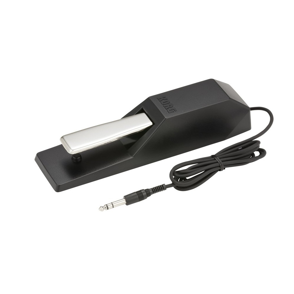 DS-1H