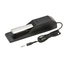 DS-1H