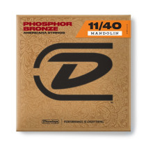 DMP1140 Medium, Set/8