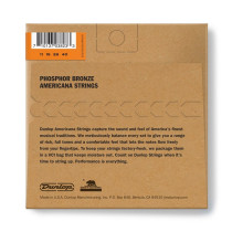 DMP1140 Medium, Set/8