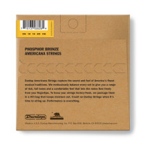 DJP0920 Banjo Phosphor Bronze, Light Set/5