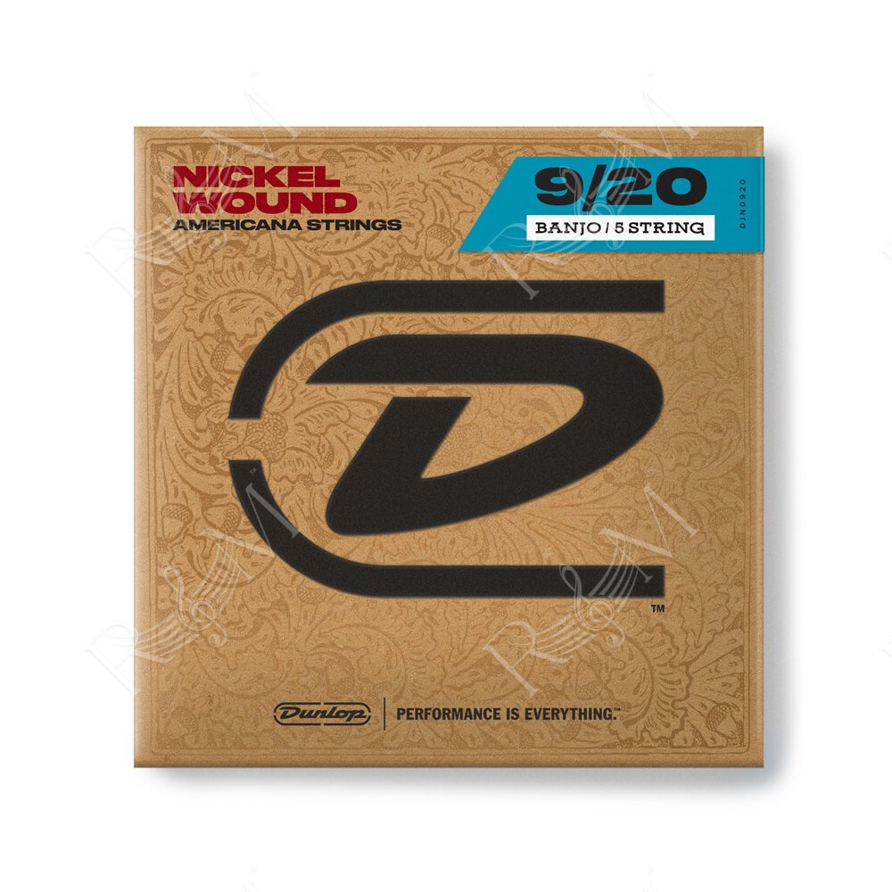 DJN0920 Banjo Nickel Wound, Light Set/5
