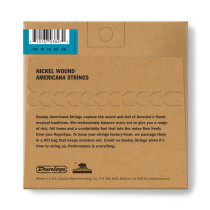 DJN0920 Banjo Nickel Wound, Light Set/5