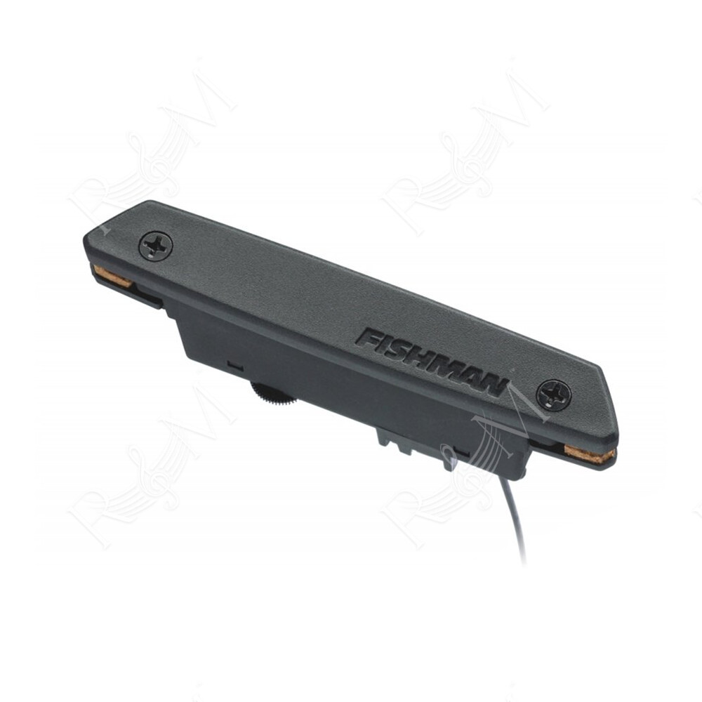 Rare Earth Soundhole Humbucking Pickup (PRO-REP-102)