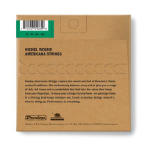 DJN1236 Banjo Nickel Wound, Irish Set/4
