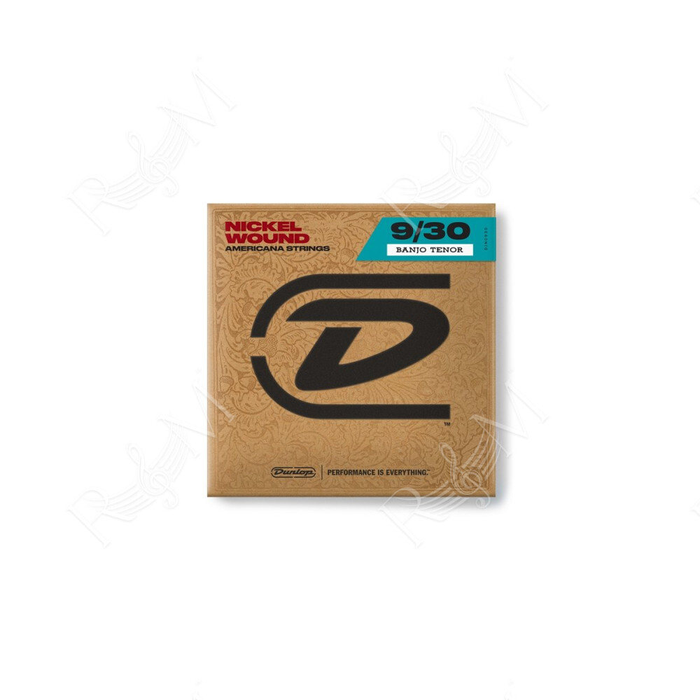 DJN0930 Banjo Nickel Wound, Tenor Set/4