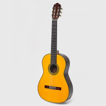 Torres Chitarra Classica