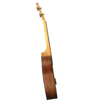 Uku Duo Ukulele Concerto