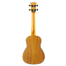 Uku Duo Ukulele Concerto