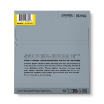 DBSBS40100 Super Bright Stainless Steel, Light Set/4