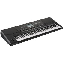 Pa300