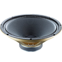 G15V-100 Fullback 15" 100W 8ohm