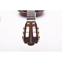 Hauser Chitarra Classica
