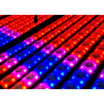 LCB14 LED BAR 14x3WW+56 SMD Pixel