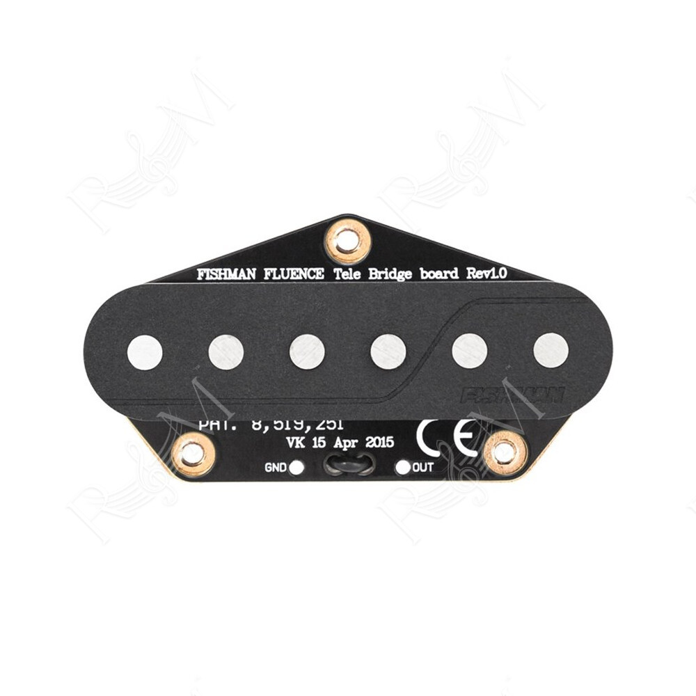 Fluence Greg Koch "Gristle-Tone" Single Width Telecaster Set/2