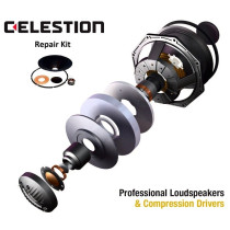Rep-Kit CF18VJD 8ohm T5558
