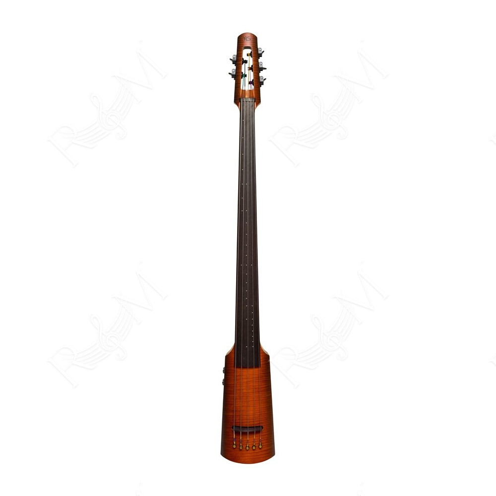 NXT5a Omni Bass 5 Sunburst