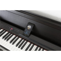 C1 Air BR - Marrone