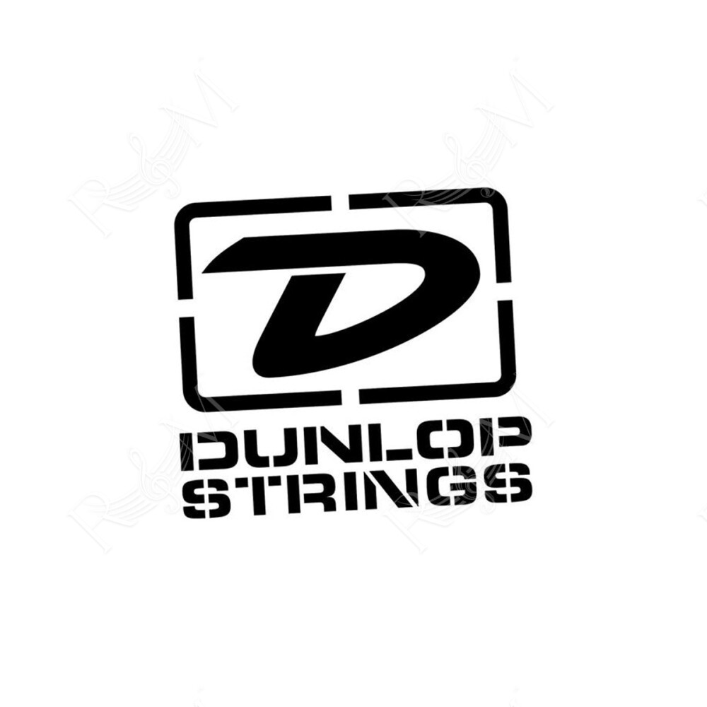 DBSBS100 Corda Singola .100SB Avvolta