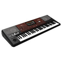 Pa700 OR