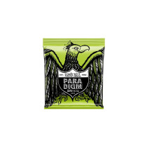 2028 Paradigm Regular Slinky 10-56
