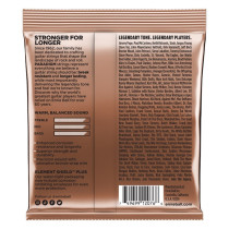 2076 Paradigm Phosphor Bronze Medium Light 12-54