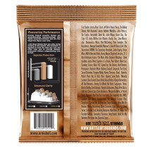 2544 Everlast Coated Phosphor Bronze Medium 13-56