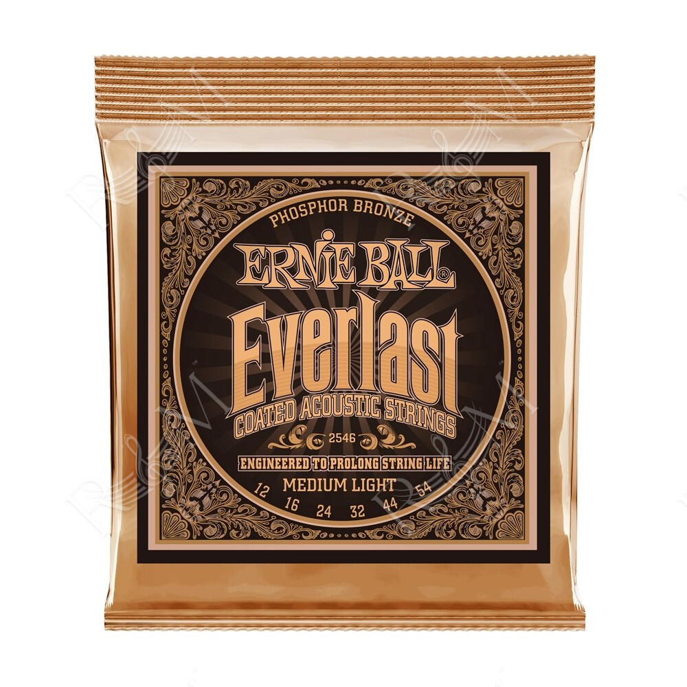 2546 Everlast Coated Phosphor Bronze Medium Light 12-54