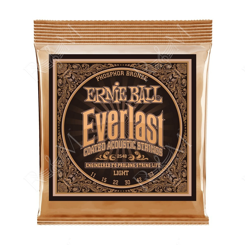2548 Everlast Coated Phosphor Bronze Light 11-52
