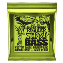 2852 Nickel Wound Scala Corta Regular 45-105