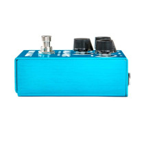 WM71 Smalls Aqua Puss Analog Delay