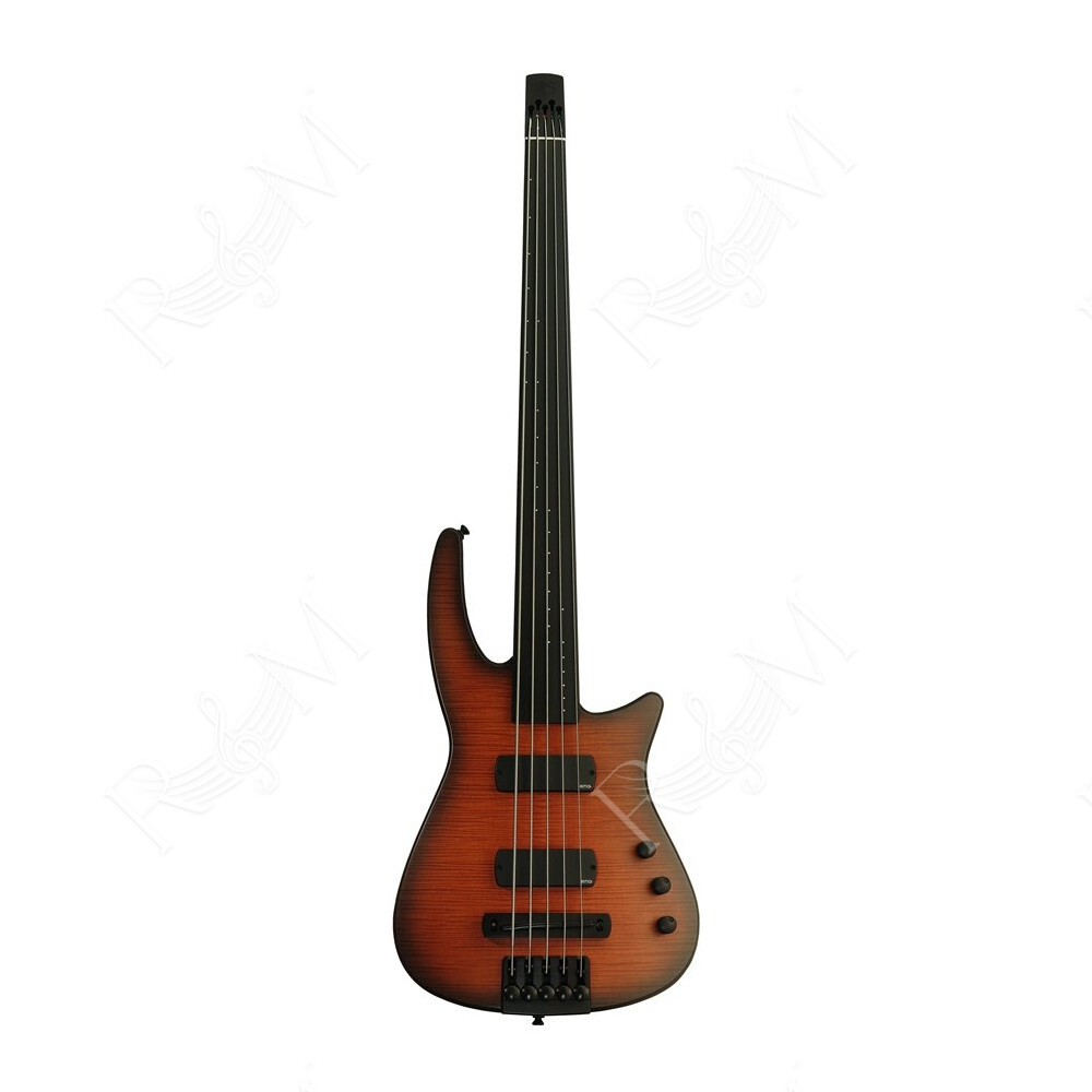 NXT5a Radius Bass 5 Fretless Sunburst