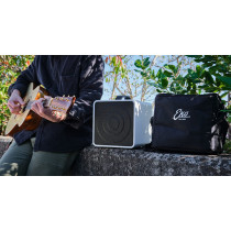 EAmp Eclectic Amp
