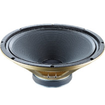 G15V-100 Fullback 15" 100W 16ohm