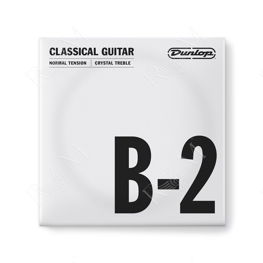 DCY02BNS Corda Singola Nylon 02 Liscia Tensione Normale
