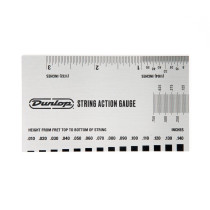 DGT04 Action Gauge System 65