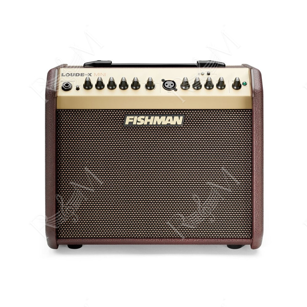 Loudbox Mini Bluetooth 60W (PRO-LBT-EU5)