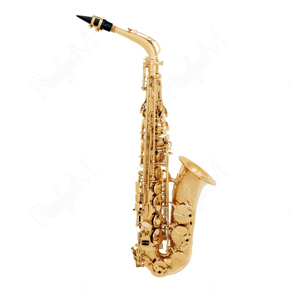 VSM A300 Sax 300 Contralto