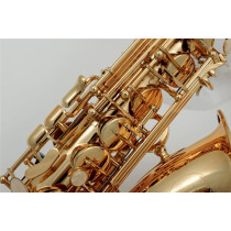 VSM A300 Sax 300 Contralto