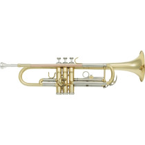 VSM TP300 Tromba Sib