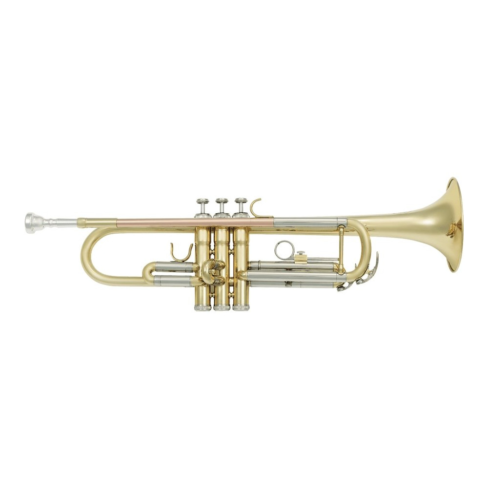 VSM TP300 Tromba Sib